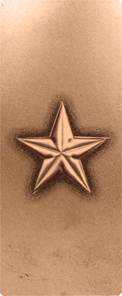 Star Copper